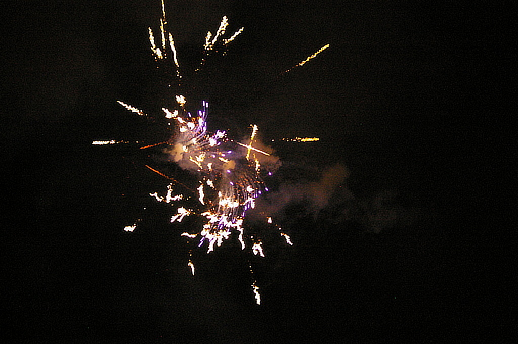 IMGP3026