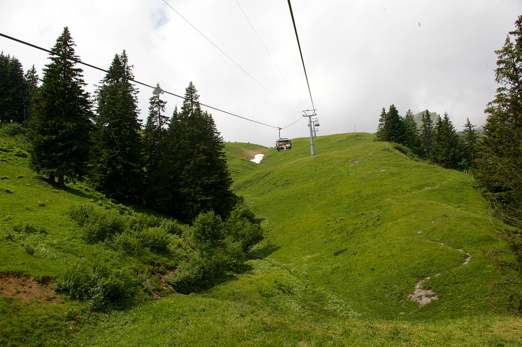 IMGP3853