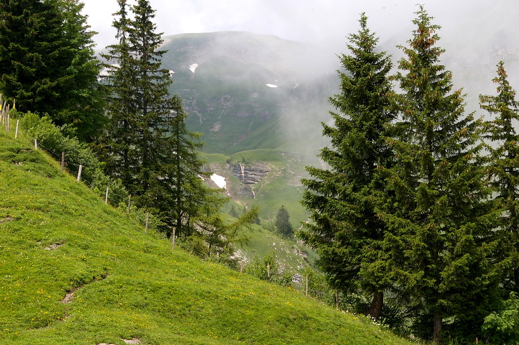 IMGP3854