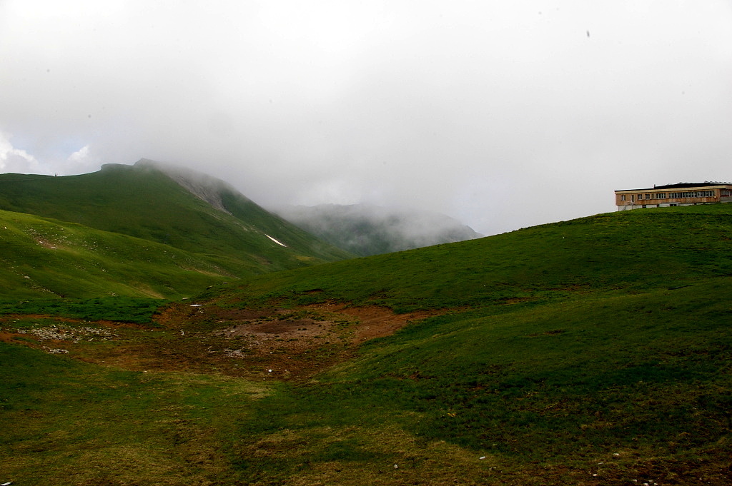 IMGP3894