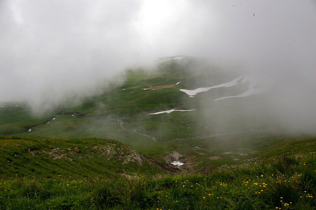 IMGP3896