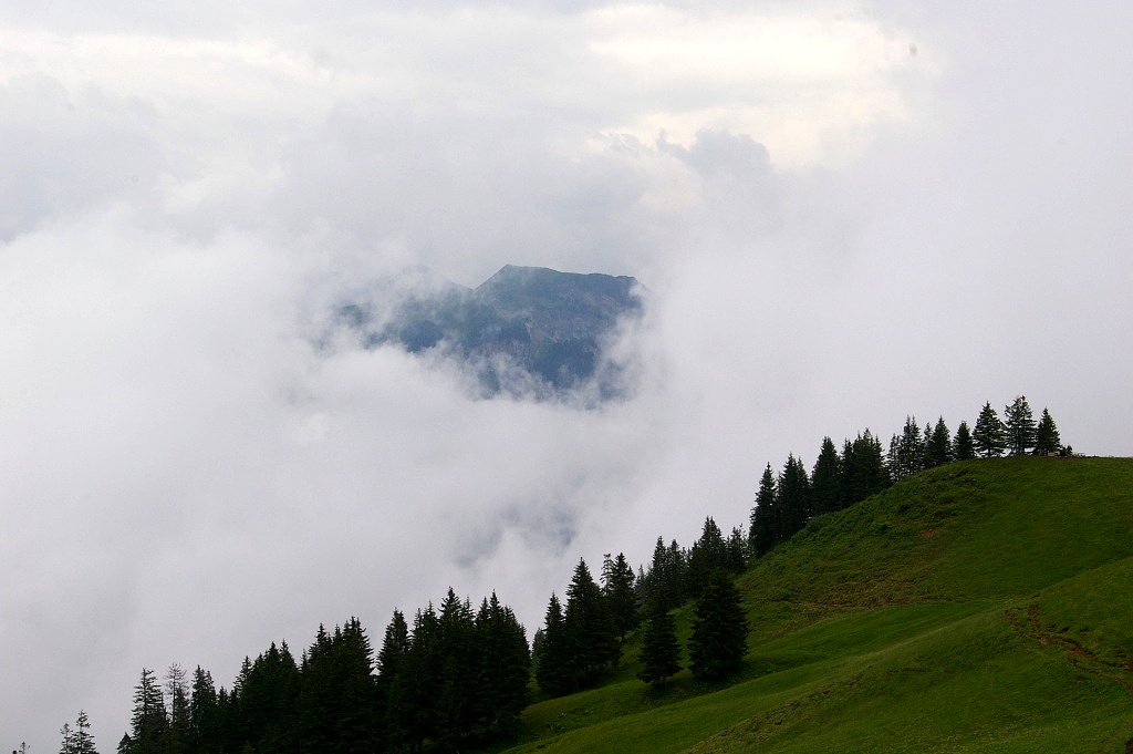 IMGP3938