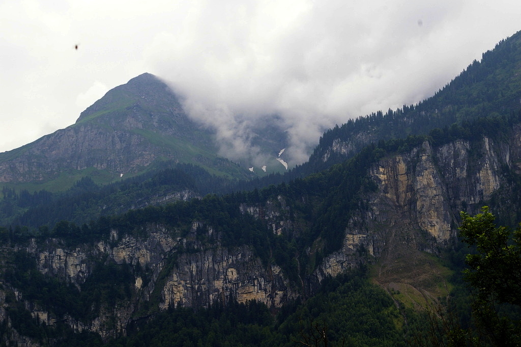 IMGP3963