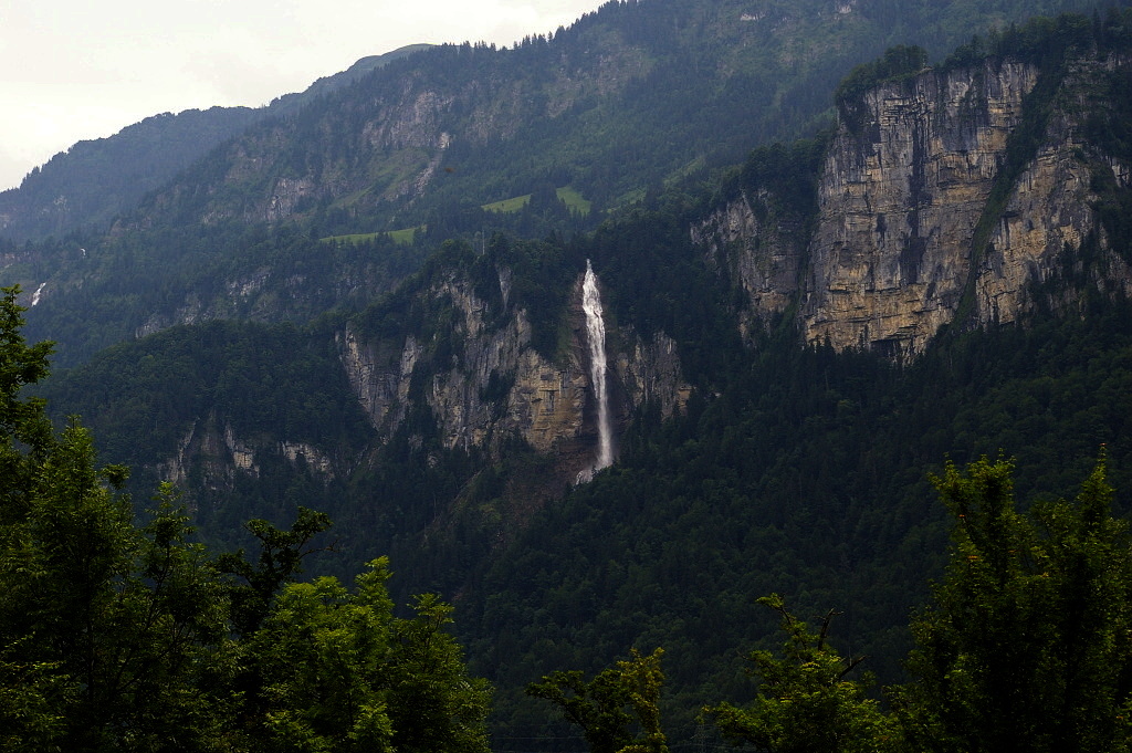 IMGP3965