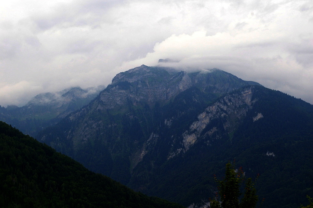 IMGP3971