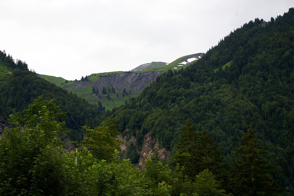 IMGP4087