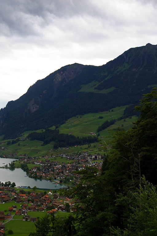 IMGP4088
