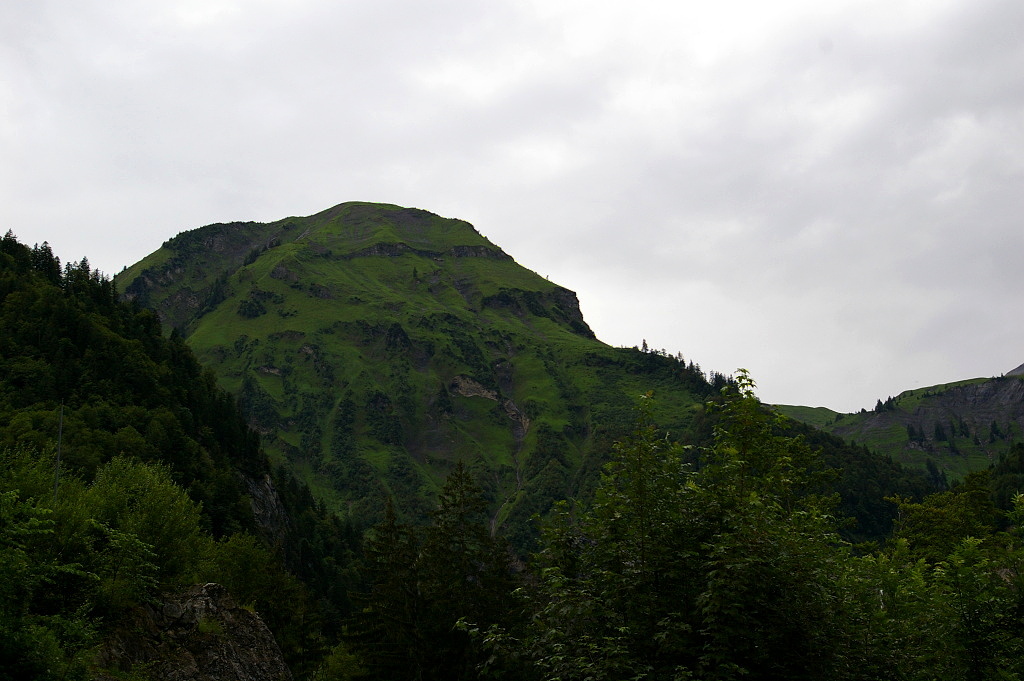 IMGP4090