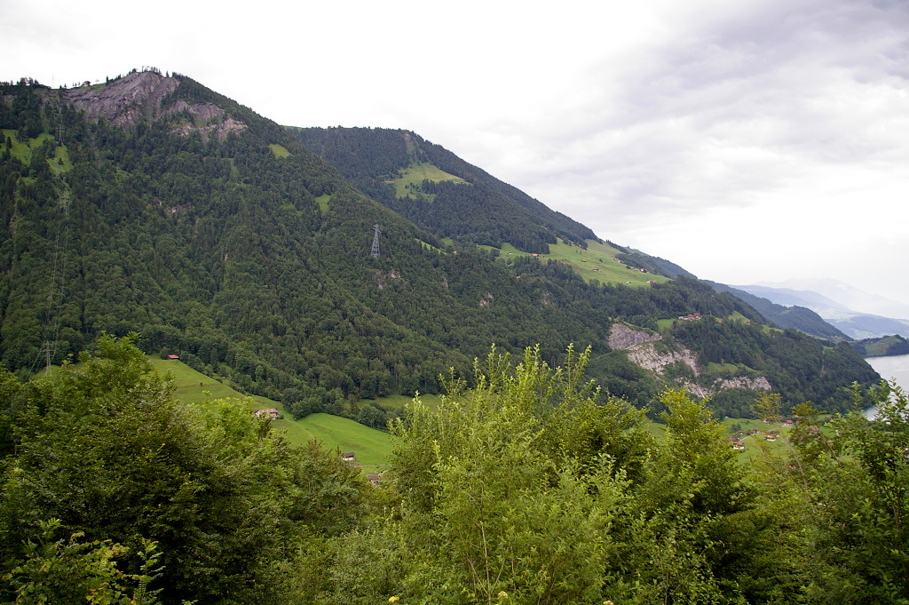 IMGP4098