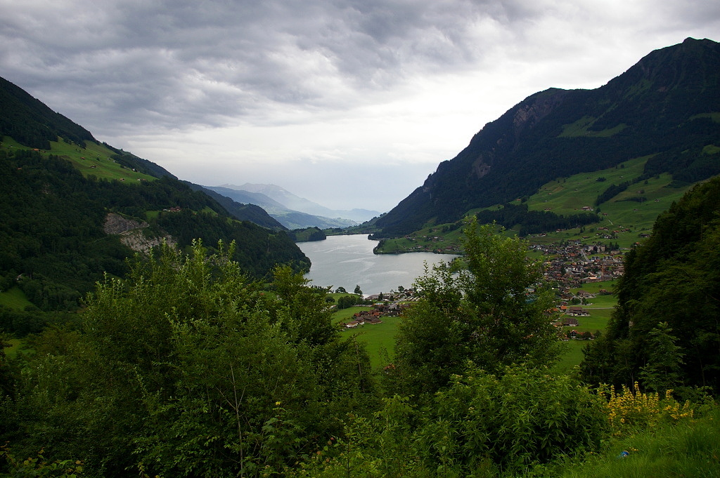IMGP4099